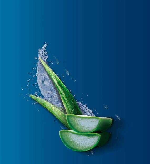 Unilever Vaseline Intensive Care Aloe Soothe Lotion, 10 Fl Oz (305213091006-1c)