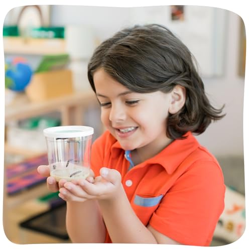 Insect Lore Cup of Caterpillars Basic – 5 Live Painted Lady Caterpillars with Food, Refill Kit for Butterfly Garden, STEM Science Activity for Kids & Classrooms