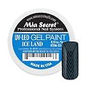 Mia Secret Professional Nail System UV/LED Gel Paint - 5 grams (Iceland) Beauty & Personal Care Mia Secret