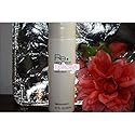 Beauticontrol Smooth Refining Toner