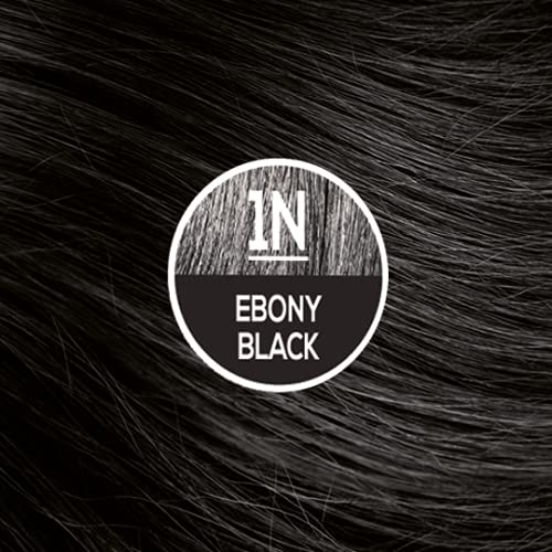Naturtint Permanent Hair Color 1N Ebony Black - 5.4 fl oz