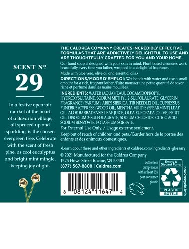Caldrea Hand Wash Soap, Aloe Vera Gel, Olive Oil and Essential Oils to Cleanse and Condition, Juniper Laurel Mint Scent, 10.8 oz Beauty & Personal Care Caldrea