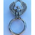 BIKER SUNGLASSES HOLDER PIN UPWING EAGLE