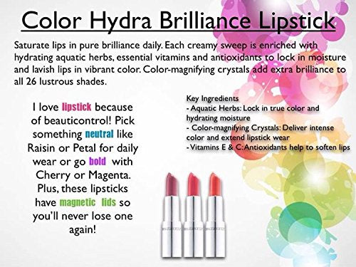 Beauticontrol Hydra Brilliance Lipstick (Persimmon) Magnetic Closure