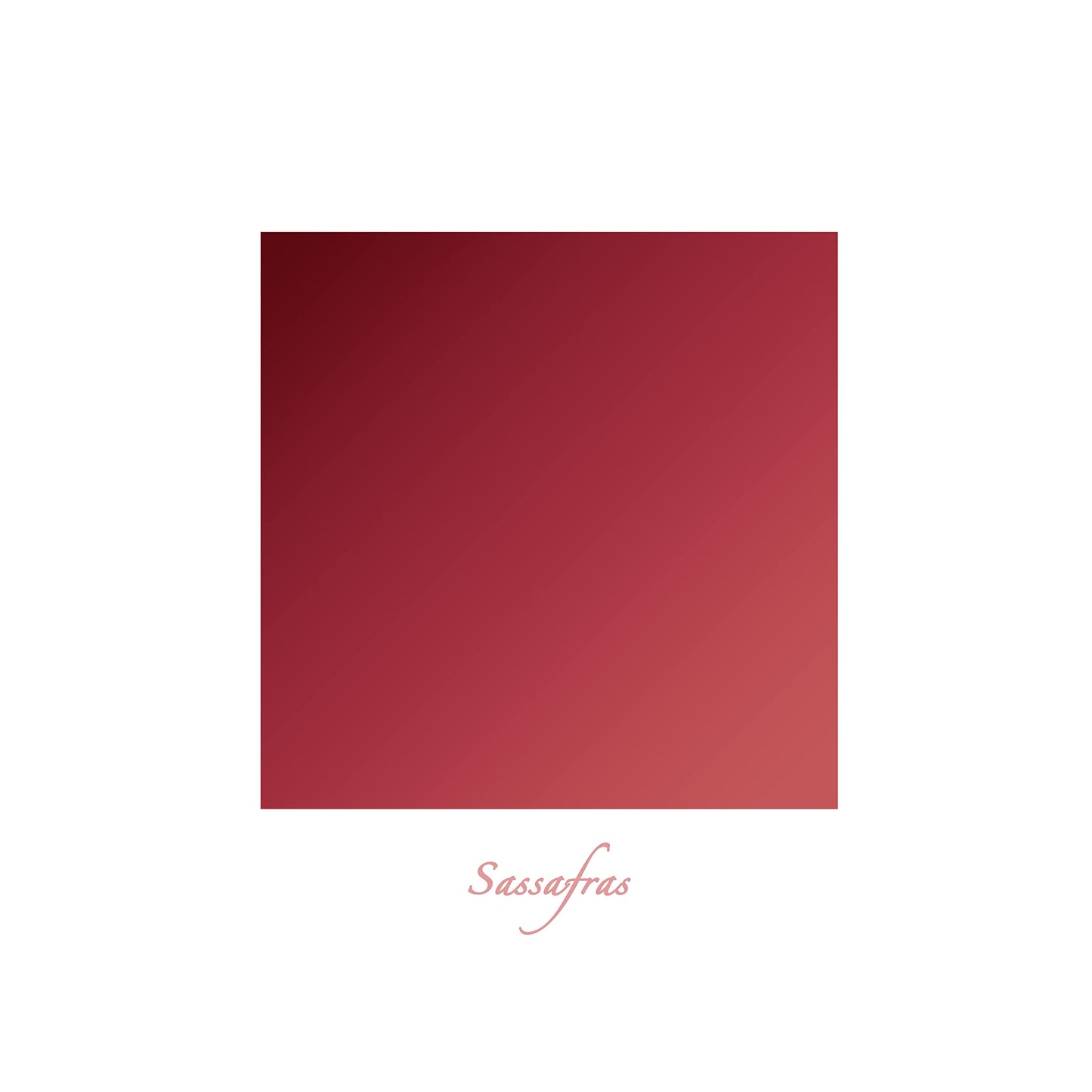 Grunge Factory® Moisture Matte Lipstick in Sassafras
