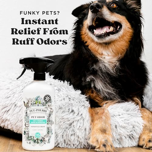 Poo-Pourri Pawsitively Fresh Pet & Home Deodorizer Spray, 16oz – Plant-Based Dog & Cat Odor Remover for Air, Carpet, Fabric, Litter Box & Urine