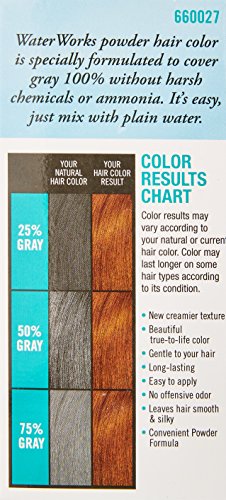 Water Works Water Activated Permanent Powder Hair Color for Men and Women, #27 Natural Light Brown