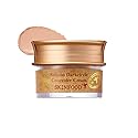 SKINFOOD s Salmon Dark Circle Concealer Cream - Under Eye Concealer for Dark Spots and Wrinkles - Full Coverage - Stocking Stuffer - 0.35 Oz/10 g