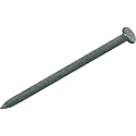 Do it 1 Lb. Hot-Dipped Galvanized Common Nail Beauty & Personal Care Primesource