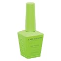Chaun Legend UV Gel Nail Polish, 0.5 Ounce Long Lasting Salon Quality, Bubble Free Professional Manicures, Quick Dry, High Shine, Astro Turf LG5056 Beauty & Personal Care Chaun Legend Professional Nails