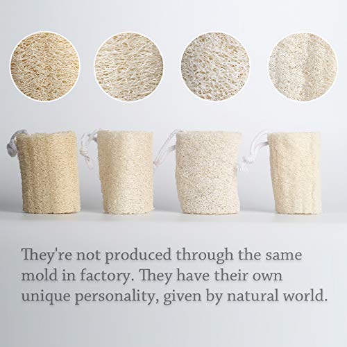 pisdoplop 4" Natural Loofah Exfoliating Body Sponge Scrubber, Plant-Based Organic Loofa Luffa for Men & Women Skin Care Bath Shower Cleaning Back
