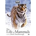 The Life Of Mammals Set