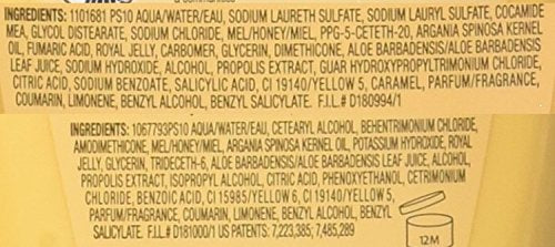 Garnier Whole Blends Honey Treasures Shampoo and Conditioner 12.5 Ounces each