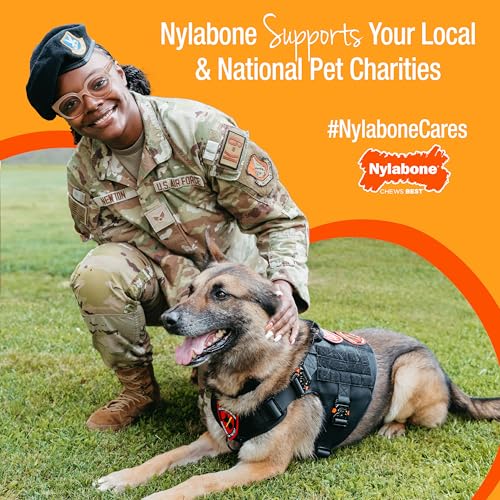 Nylabone Puppy Chew Toys & Natural Treats Triple Pack – Pink, Chicken & Bacon Flavor – Small Dogs up to 25 lbs – 3 Pack