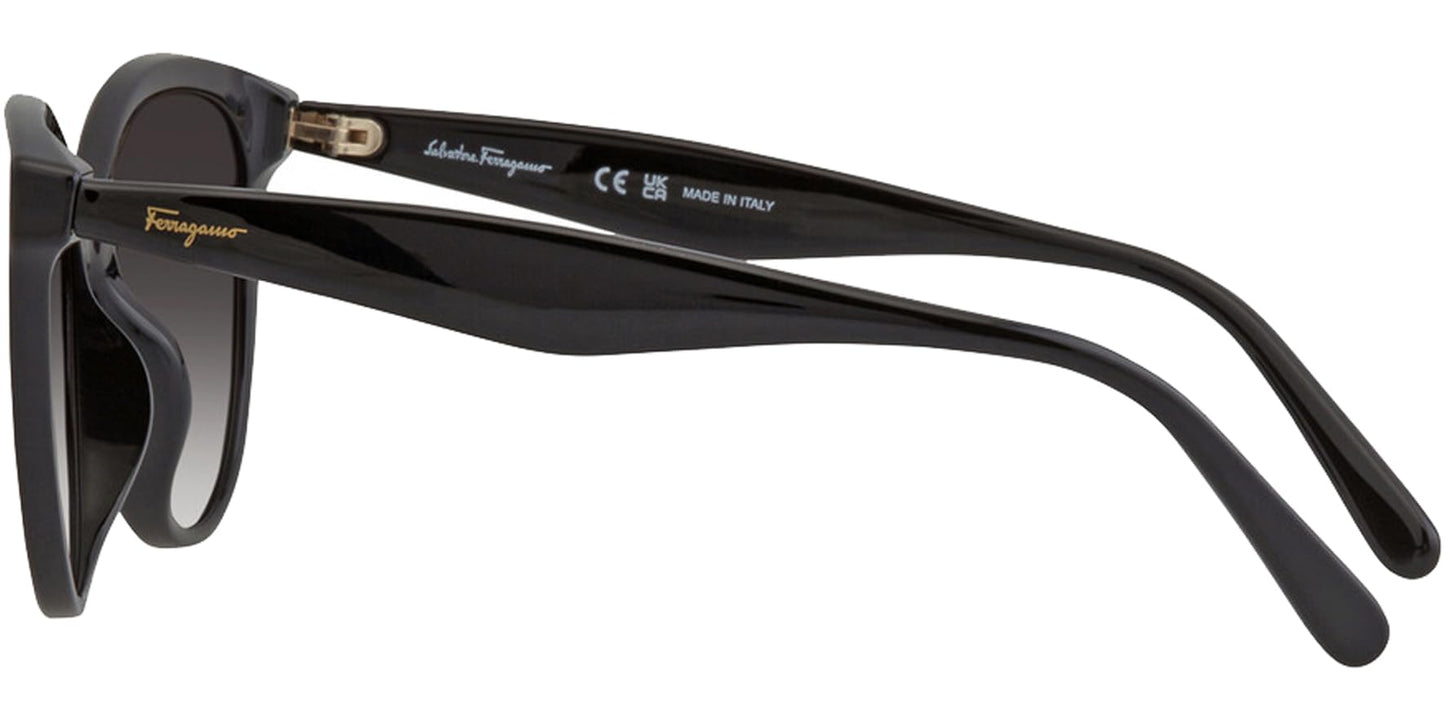 Ferragamo Women's 54Mm Sunglasses, Black