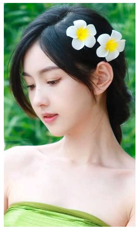 2.5" Hawaiian Hair Flower Clip Hair Barrettes for Women.Hair Buckle 4 Moana Luau Hawaiian Dresses for Women-6pc Hair Clips for Thin Hair,Hair Clips