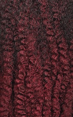 X-pression Braid Outre Crochet Braids X-Pression Twisted Up 3X Springy Afro Twist 24 in (1-pack, 2T1B/425)