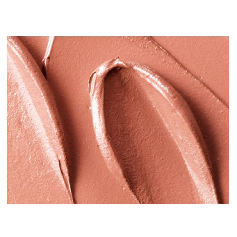 Retro Matte Liquid Lipcolor - 121 Burnt Spice by MAC for Women - 0.17 oz Lipstick