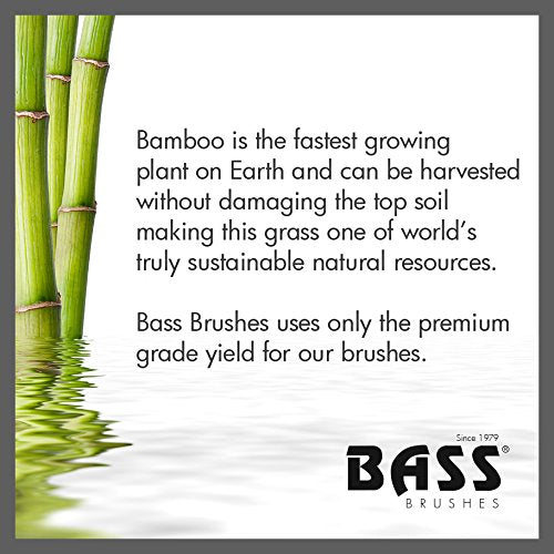 Bass Brushes | Nail Brush - Double Sided | 100% Pure Natural Bristle FIRM | Pure Bamboo Handle | Striped Finish | Model NB1 - SB Beauty & Personal Care Bass