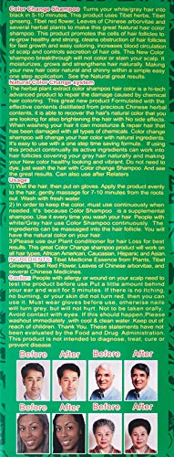Deity Shampoo Color Change Kit