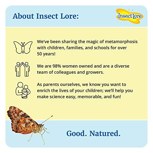 Insect Lore Bug Camp Bundle – Live Butterfly, Ladybug & Ant Kits with Caterpillars, Larvae, Ants & Bonus Life Cycle Figurines