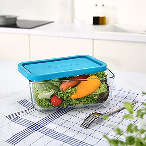 Bormioli Frigoverre J600302 - Rectangular Container 21x13 cm. Frigove Blue