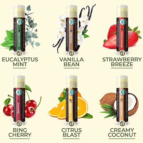 Earth's Daughter USDA Organic Lip Balm 6-Pack - Fruit Flavors, Beeswax, Coconut Oil, Vitamin E - Best Lip Repair Chapstick for Dry Cracked Lips
