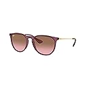 Ray-Ban RB4171 Sunglasses Bundle: RB 4171 ERIKA 659114 Erika Transparent Violet Pink and Universal Anti-slip Silicone Leash