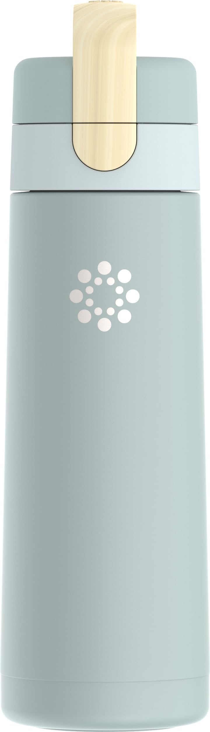 Lifefactory 20oz Stainless Steel Hydration Bottle with Spout Cap - Mint