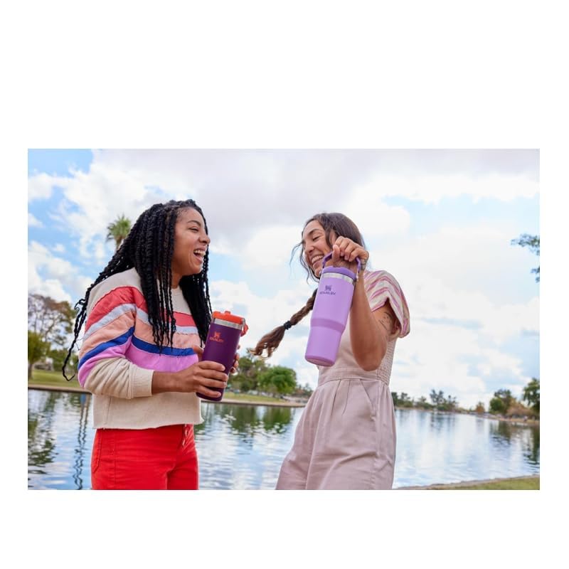 Stanley IceFlow Flip Straw Tumbler with Handle 30 oz | Twist On Lid and Flip Up Straw | Leak Resistant Water Bottle | Insulated Stainless Steel…