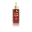 Céla Northern Face Oil | 30?ml Hydrating & Nourishing Facial Oil Infused with Red Maple Bark Extract | Anti-Aging, Softens & Revitalizes Skin