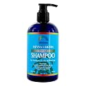Rainbow Research Organic Herbal Henna Boitin Shampoo, 12 Fluid Ounce