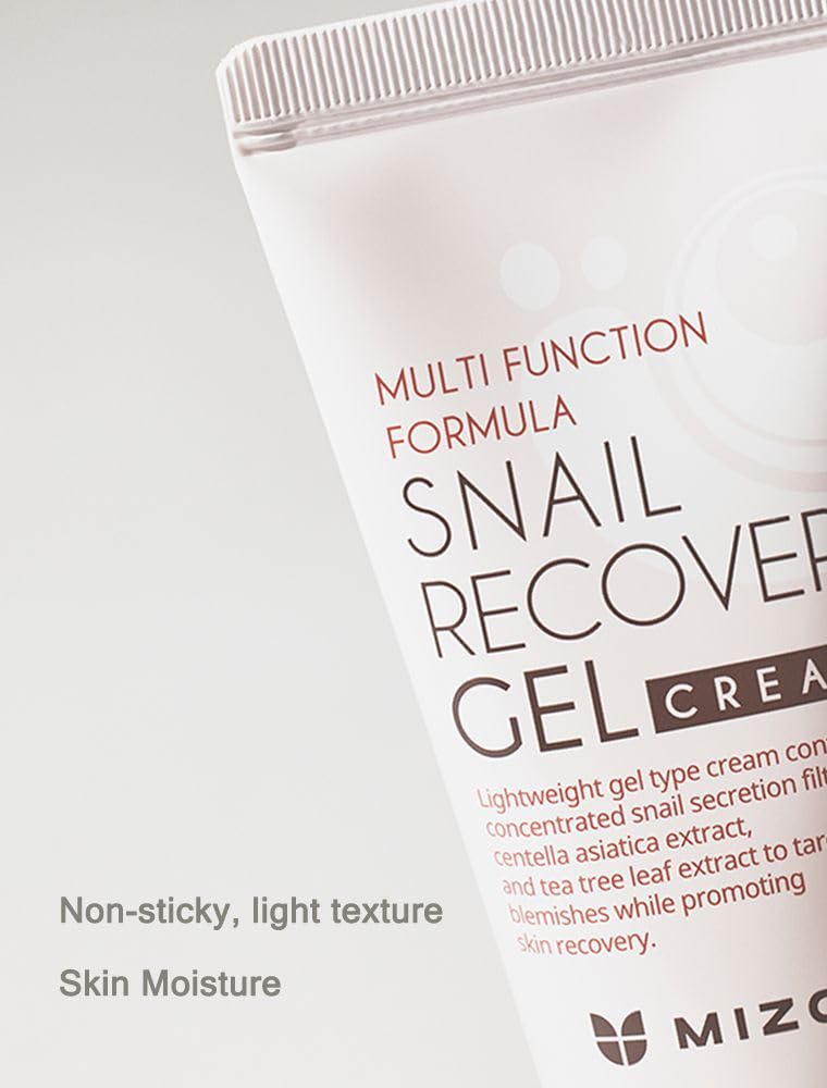 MIZON Set of Two Snail Recovery Gel Cream Snail Mucin for Fine Lines Skin Elasticity Moisture Fragrance-Free Korean Skincare(45ml 1.52 fl.oz -Pack