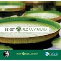 Flora Y Fauna