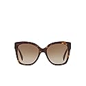 Gucci Brown Shaded Butterfly Ladies Sunglasses GG0459S 002 54