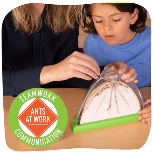 Insect Lore Ant Hill Habitat Kit – STEM Science Kit with Live Harvester Ants Voucher, Educational Kids Toy to Watch Ants Tunnel & Explore