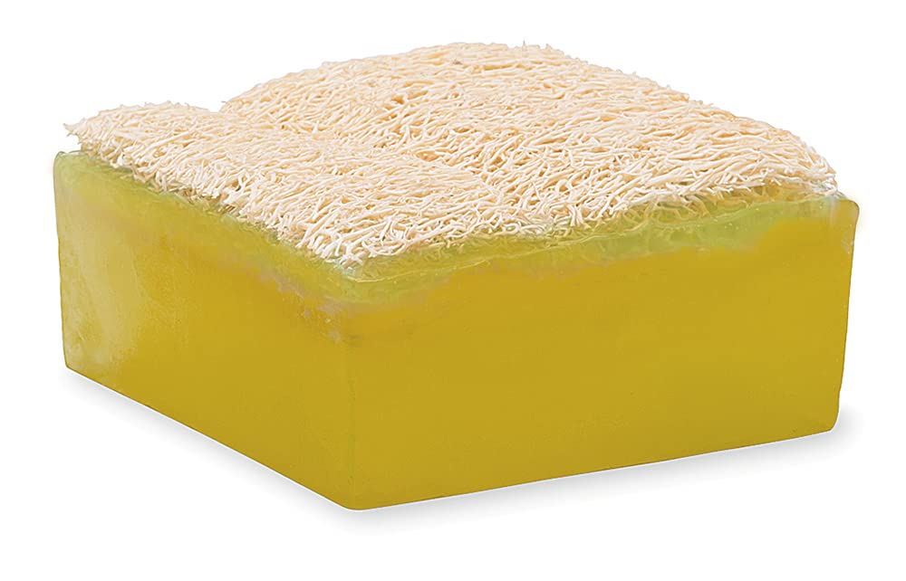Primal Elements Tahitian Vanilla Loofah Bar Soap, 5 Ounce
