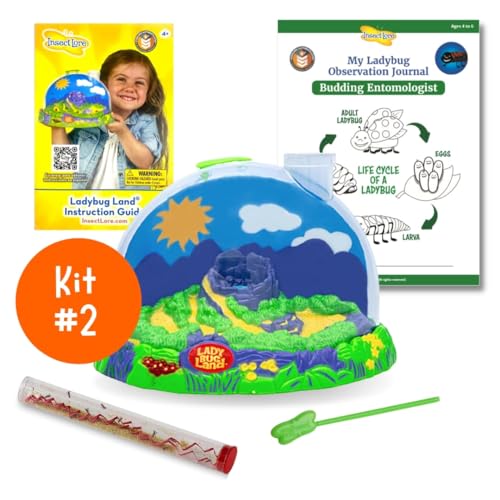 Insect Lore Bug Camp Bundle – Live Butterfly, Ladybug & Ant Kits with Caterpillars, Larvae, Ants & Bonus Life Cycle Figurines