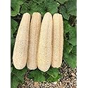 YEMTAL Natural Loofah Sponges Organic Luffa Bath Shower Sponge Exfoliating Body Back Scrubber for Men Women Adults SPA Beauty Bathing Daily Care - 4