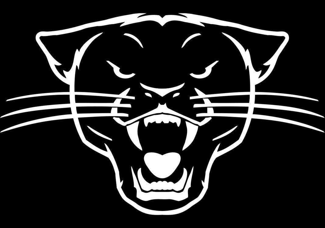 Sex Panther Cologne Spray for Men. Sensual, and Refreshing Juniper and Lavender Musk. Not Made with Bits of Real Panther. Officially Licensed from Anchorman and Anchorman 2 (1.7 oz)