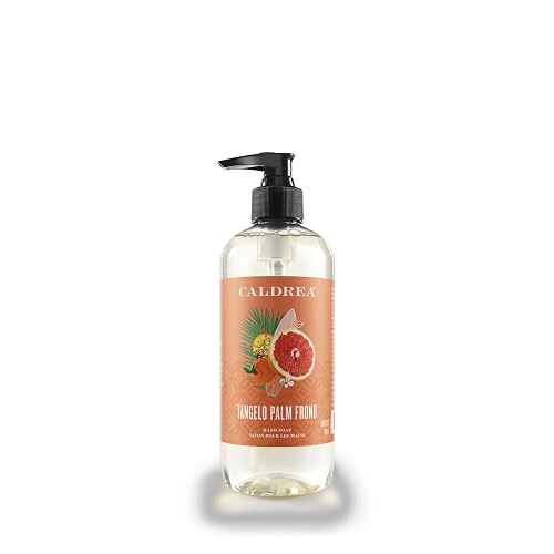 Caldrea Hand Wash Soap, Tangelo Palm Frond 10.8 Fl Oz Beauty & Personal Care Caldrea