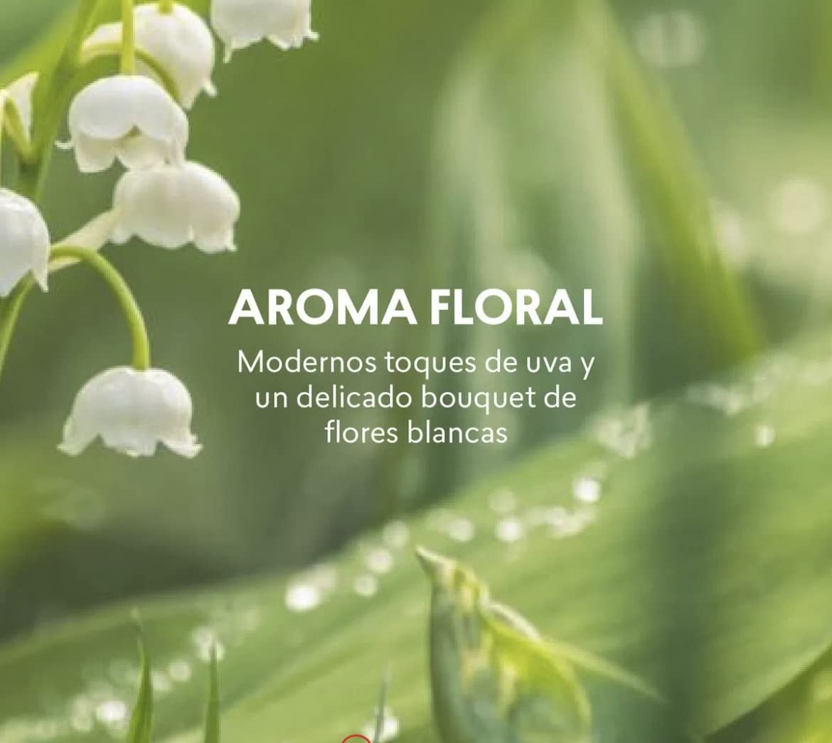 GIRLINK Eau de parfum by CYZONE 50ml (1.7 fl.oz)