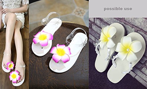 2.5" Hawaiian Hair Flower Clip Hair Barrettes for Women.Hair Buckle 4 Moana Luau Hawaiian Dresses for Women-6pc Hair Clips for Thin Hair,Hair Clips