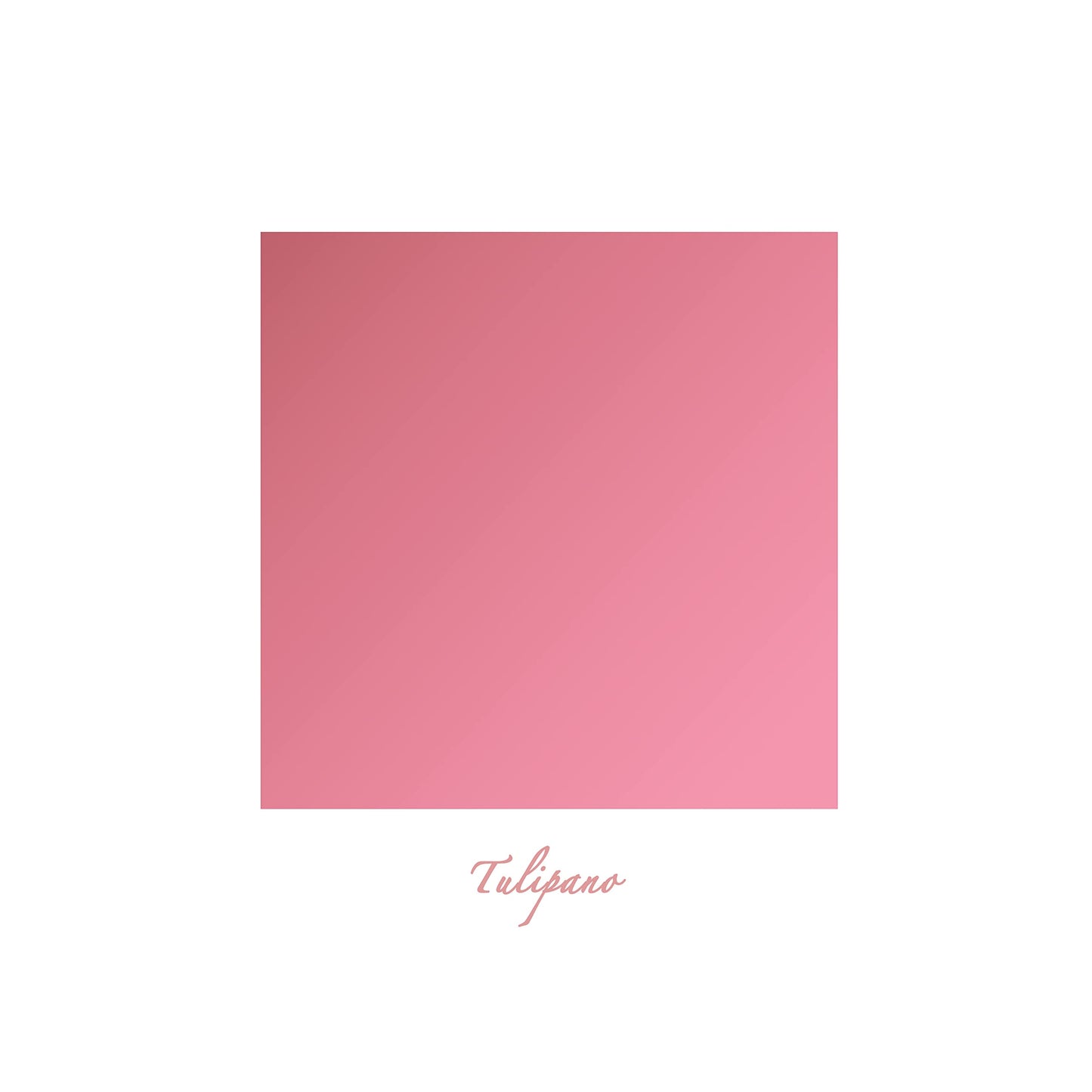Grunge Factory® Moisture Matte Lipstick in Tulipano