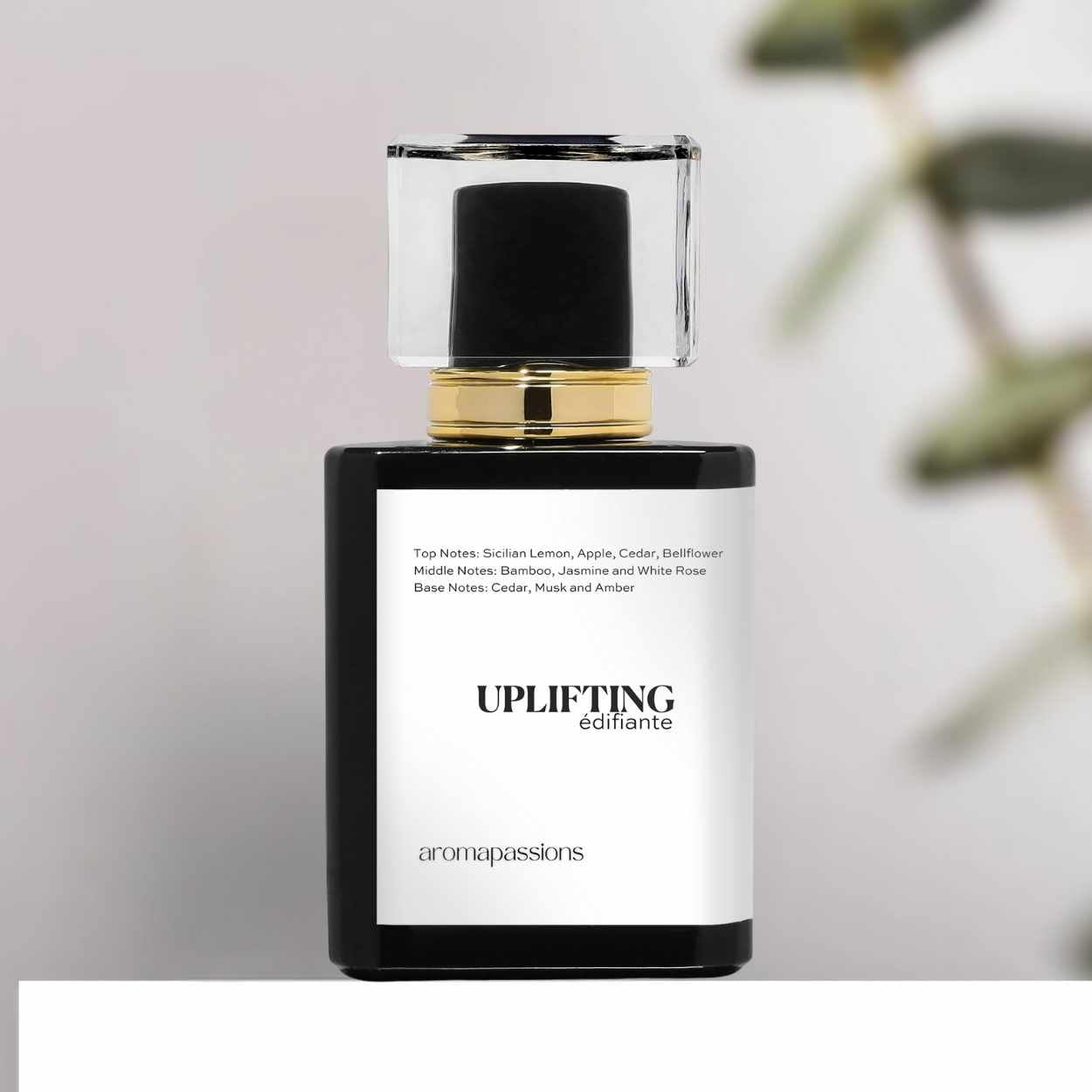 aromapassions UPLIFTING | Inspired by LGHT BLUE | Pheromone Perfume for Women | Extrait De Parfum| Long Lasting Dupe Clone Lemon Jasmine Essential Oil Beauty & Personal Care aromapassions