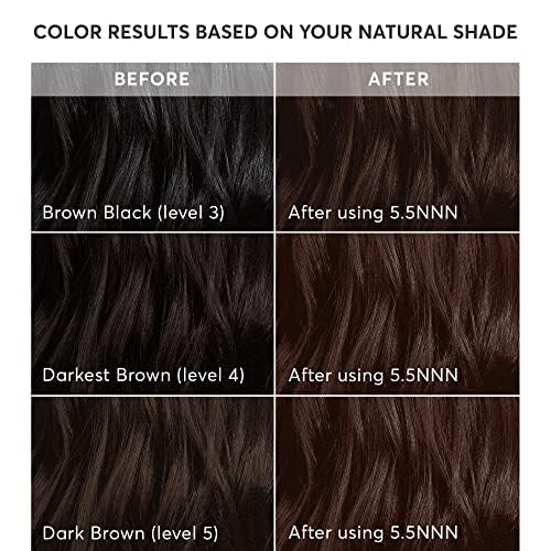 Madison Reed Radiant Hair Color Kit - 100% Gray Coverage for Resistant Grays, 5.5NNN Dark Brown with Warm Golden Tones (Modena Brown) | PPD-Free