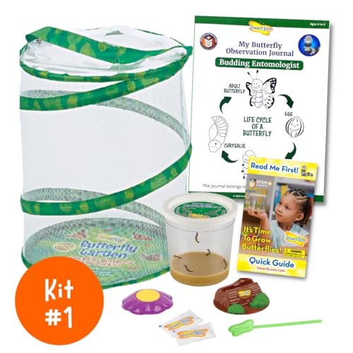 Insect Lore Bug Camp Bundle – Live Butterfly, Ladybug & Ant Kits with Caterpillars, Larvae, Ants & Bonus Life Cycle Figurines