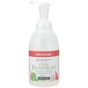 Ginger Lily Farms Botanicals All-Purpose Foaming Hand Soap Refill, 100% Vegan & Cruelty-Free, Apple Pear Scent, 20 Fl Oz (Pack of 1)
