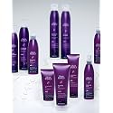 Back To Basics Firm Hold Hair Spray for Unisex, 10 Ounce