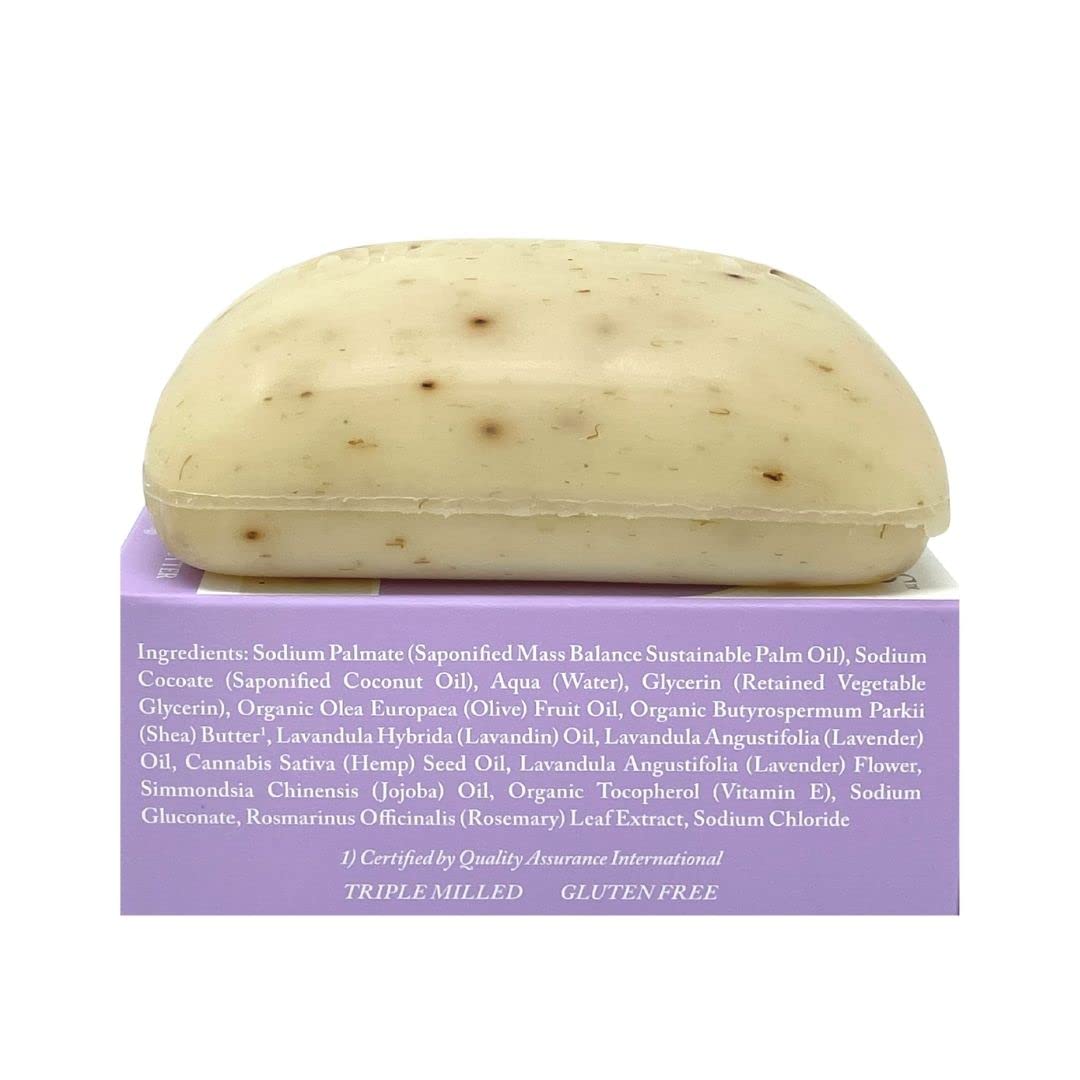 Dr. Woods Exfoliating Lavender Bar Soap with Organic Shea Butter, 5.25 oz (Pack of 6)